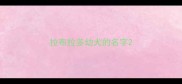 拉布拉多幼犬的名字