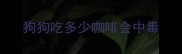 狗狗吃多少咖啡会中毒