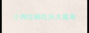 小狗拉稀吃庆大霉素