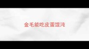 金毛能吃皮蛋馄沌