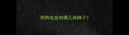 狗狗疫苗有哪几种牌子