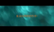 鱼油对狗狗的作用