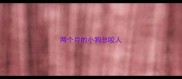 两个月的小狗总咬人