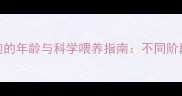 狗狗知道饥饱的年龄与科学喂养指南不同阶段饮食需求全