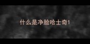 什么是净脸哈士奇