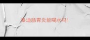 泰迪肠胃炎能喝水吗