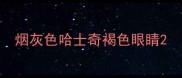 烟灰色哈士奇褐色眼睛