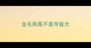金毛狗是不是导盲犬