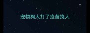 宠物狗大打了疫苗挠人