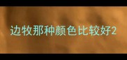 边牧那种颜色比较好