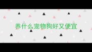 养什么宠物狗好又便宜