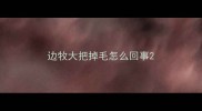 边牧大把掉毛怎么回事