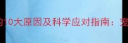 狗狗舔地板的10大原因及科学应对指南宠物医生深度