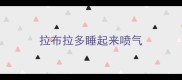拉布拉多睡起来喷气