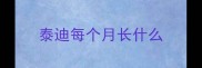 泰迪每个月长什么