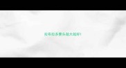 拉布拉多要头越大越好