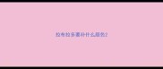 拉布拉多要补什么颜色