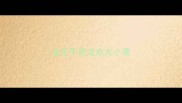金毛不愿定点大小便