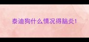泰迪狗什么情况得脑炎