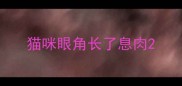猫咪眼角长了息肉