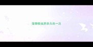 宠物驱虫药多久吃一次