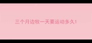 三个月边牧一天要运动多久
