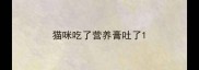 猫咪吃了营养膏吐了