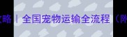 宠物店寄宠攻略全国宠物运输全流程附避坑指南