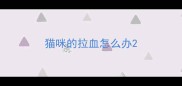 猫咪的拉血怎么办