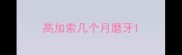 高加索几个月磨牙