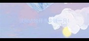 沈阳边牧仔多少钱一只