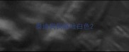 泰迪狗狗呕吐白色