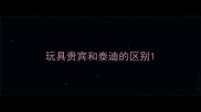 玩具贵宾和泰迪的区别