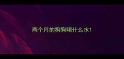 两个月的狗狗喝什么水