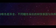 哈士奇眼色差异全不同瞳色背后的科学原因与饲养指南