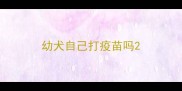 幼犬自己打疫苗吗
