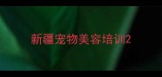 新疆宠物美容培训