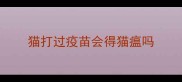 猫打过疫苗会得猫瘟吗