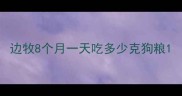 边牧8个月一天吃多少克狗粮