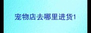 宠物店去哪里进货