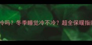 猫咪怕冷吗冬季睡觉冷不冷超全保暖指南
