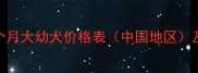 拉布拉多三个月大幼犬价格表中国地区及饲养成本全