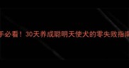 边境牧羊犬新手必看30天养成聪明天使犬的零失败指南附养护全攻略