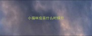 小猫咪疫苗什么时候打