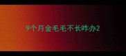 9个月金毛毛不长咋办