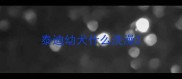 泰迪幼犬什么洗澡