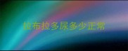拉布拉多尿多少正常