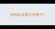 狗狗疫苗哪几种要打