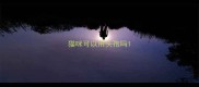 猫咪可以用头孢吗