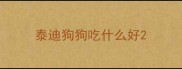 泰迪狗狗吃什么好